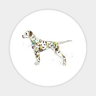 Dalmatian dog Magnet